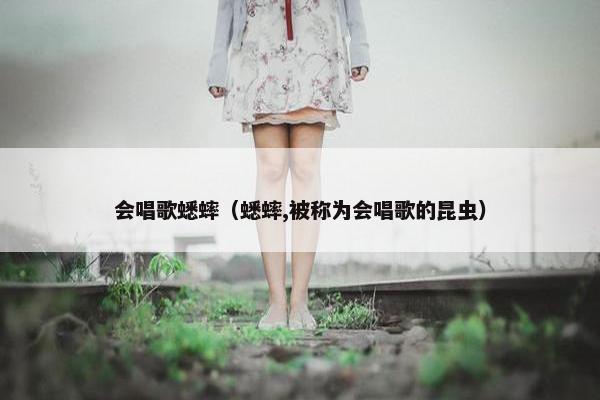 会唱歌蟋蟀（蟋蟀,被称为会唱歌的昆虫）