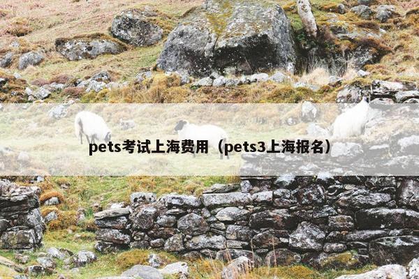 pets考试上海费用（pets3上海报名）