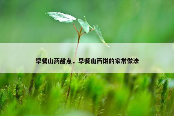 早餐山药甜点，早餐山药饼的家常做法