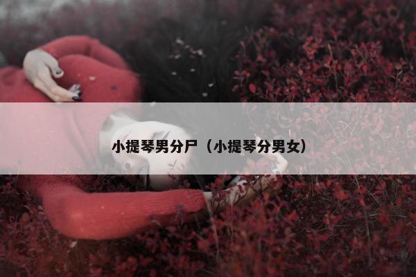 小提琴男分尸（小提琴分男女）