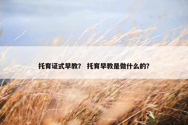 托育证式早教？ 托育早教是做什么的？