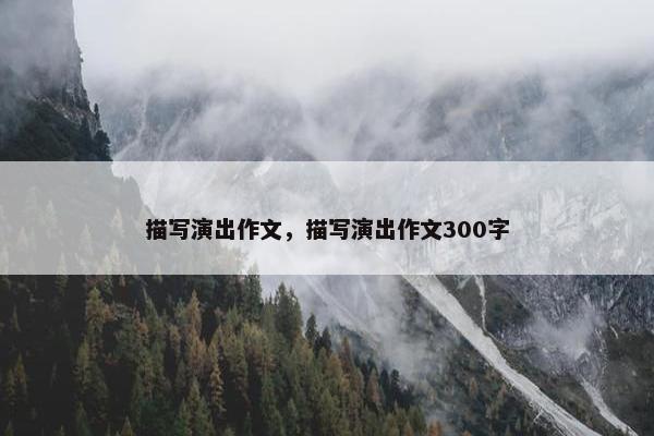 描写演出作文，描写演出作文300字