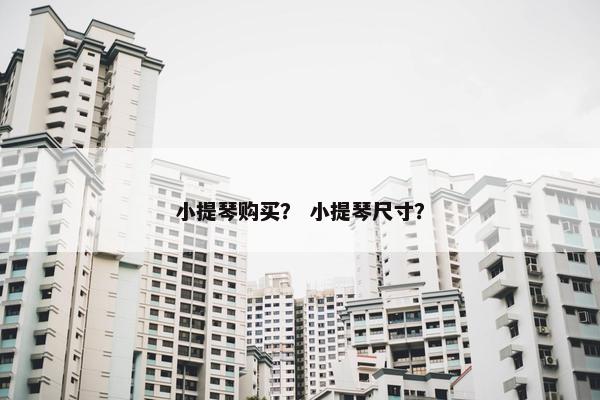 小提琴购买？ 小提琴尺寸？