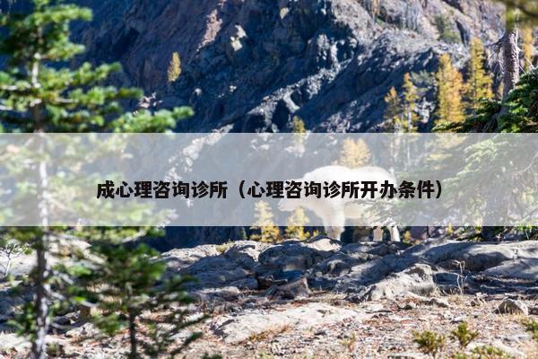 成心理咨询诊所（心理咨询诊所开办条件）
