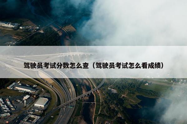 驾驶员考试分数怎么查（驾驶员考试怎么看成绩）