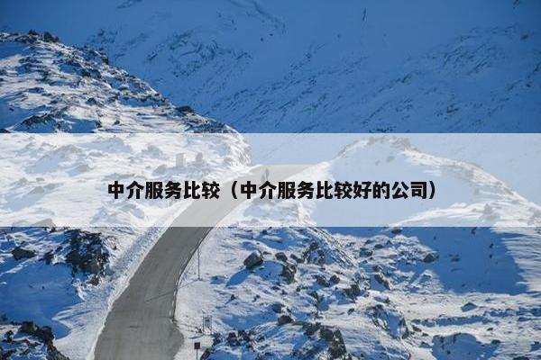 中介服务比较（中介服务比较好的公司）