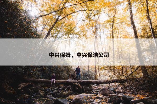 中兴保姆，中兴保洁公司