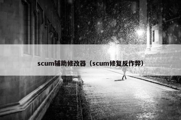 scum辅助修改器（scum修复反作弊）