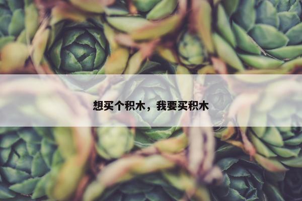 想买个积木，我要买积木