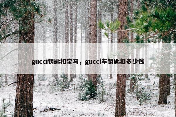 gucci钥匙扣宝马，gucci车钥匙扣多少钱