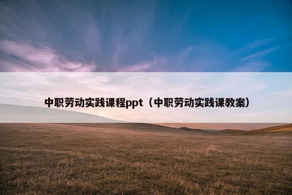 中职劳动实践课程ppt（中职劳动实践课教案）