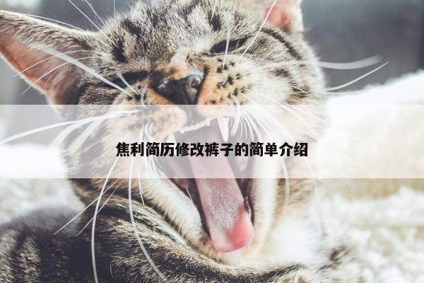 焦利简历修改裤子的简单介绍