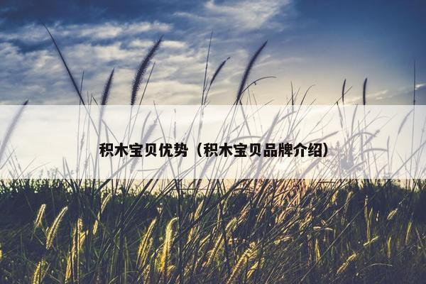 积木宝贝优势（积木宝贝品牌介绍）