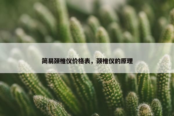 简易颈椎仪价格表，颈椎仪的原理
