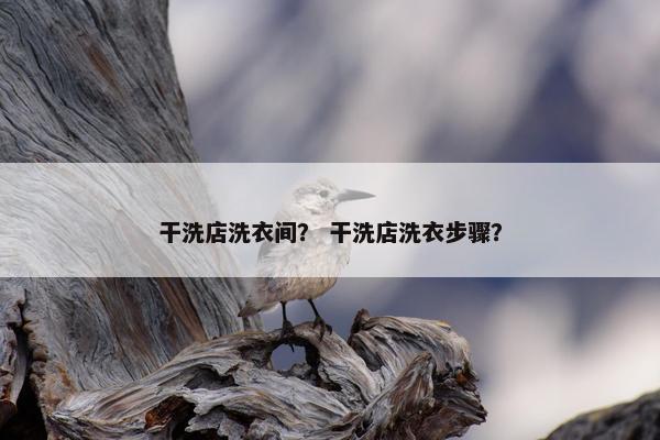 干洗店洗衣间？ 干洗店洗衣步骤？