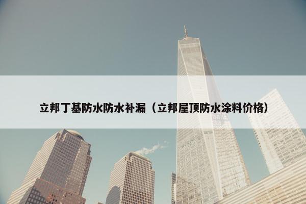 立邦丁基防水防水补漏（立邦屋顶防水涂料价格）