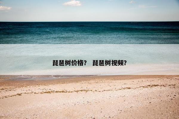 琵琶树价格？ 琵琶树视频？