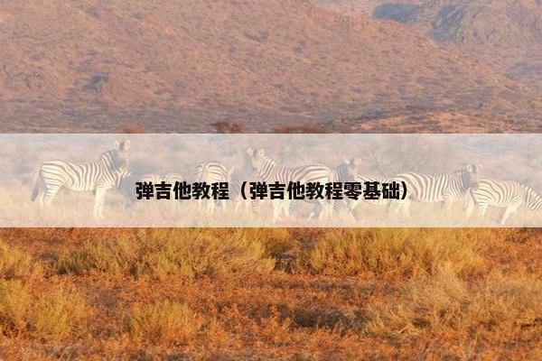 弹吉他教程（弹吉他教程零基础）