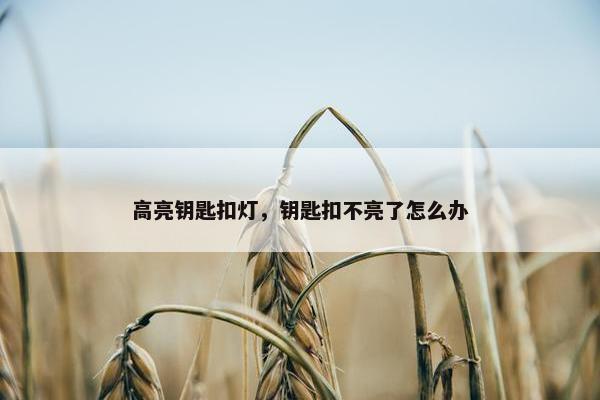 高亮钥匙扣灯，钥匙扣不亮了怎么办