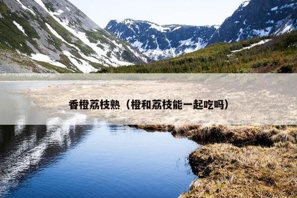 香橙荔枝熟（橙和荔枝能一起吃吗）