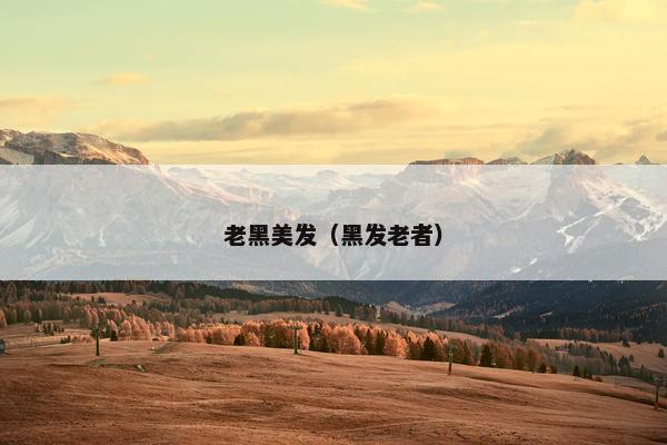 老黑美发（黑发老者）