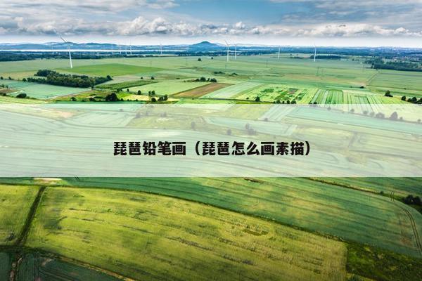 琵琶铅笔画（琵琶怎么画素描）