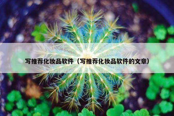 写推荐化妆品软件（写推荐化妆品软件的文章）