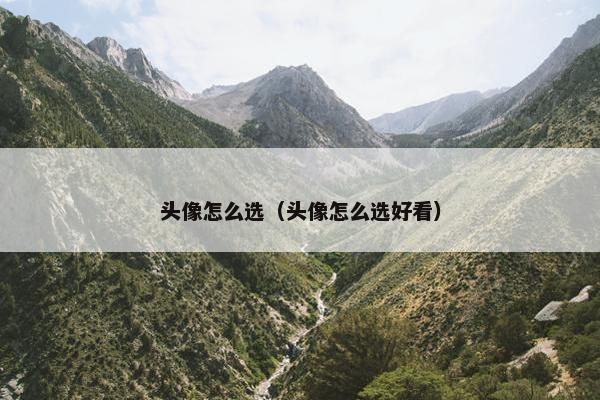 头像怎么选（头像怎么选好看）