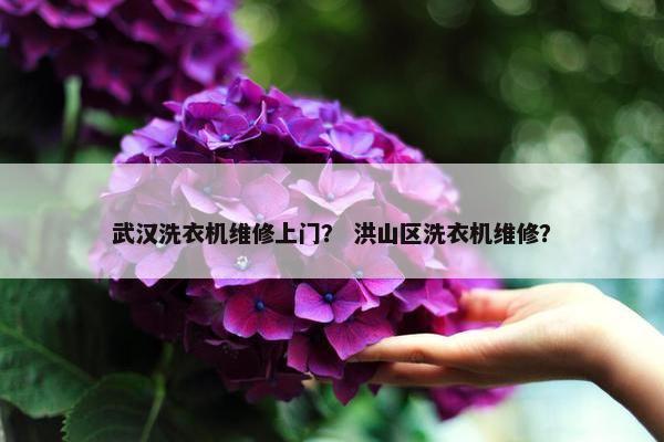 武汉洗衣机维修上门？ 洪山区洗衣机维修？