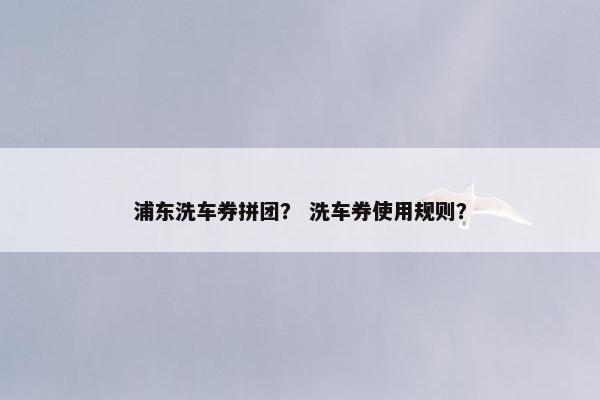 浦东洗车券拼团？ 洗车券使用规则？