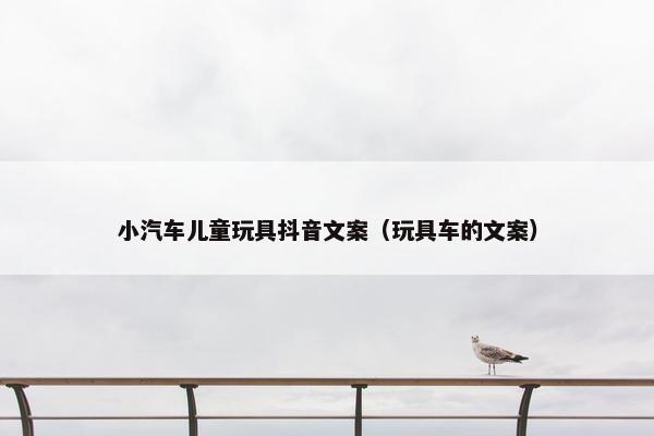 小汽车儿童玩具抖音文案（玩具车的文案）