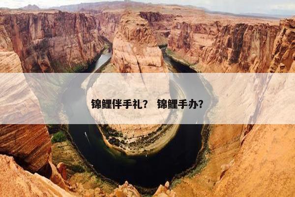 锦鲤伴手礼？ 锦鲤手办？