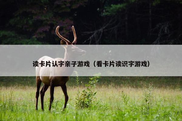 读卡片认字亲子游戏（看卡片读识字游戏）