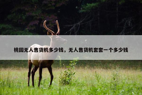 桃园无人售货机多少钱，无人售货机套套一个多少钱
