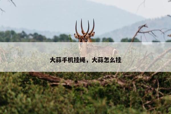 大蒜手机挂绳，大蒜怎么挂
