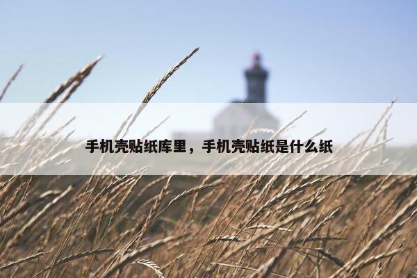手机壳贴纸库里，手机壳贴纸是什么纸