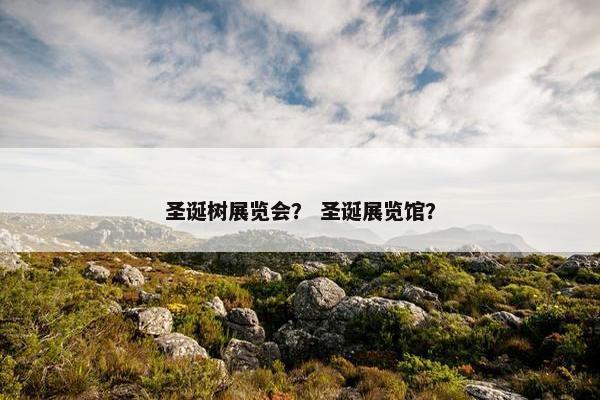 圣诞树展览会？ 圣诞展览馆？