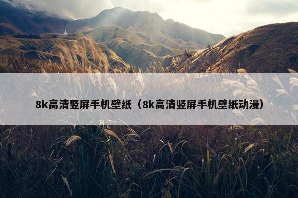 8k高清竖屏手机壁纸（8k高清竖屏手机壁纸动漫）