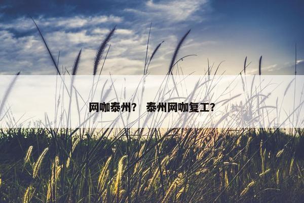 网咖泰州？ 泰州网咖复工？