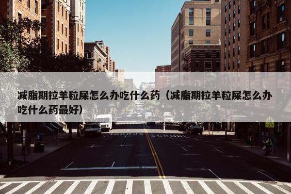 减脂期拉羊粒屎怎么办吃什么药（减脂期拉羊粒屎怎么办吃什么药最好）