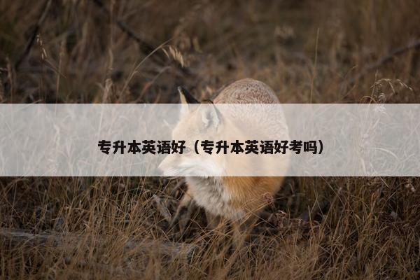 专升本英语好（专升本英语好考吗）