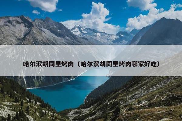 哈尔滨胡同里烤肉（哈尔滨胡同里烤肉哪家好吃）