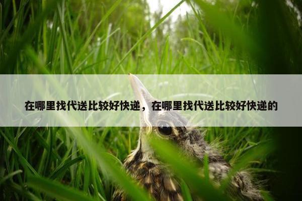 在哪里找代送比较好快递，在哪里找代送比较好快递的