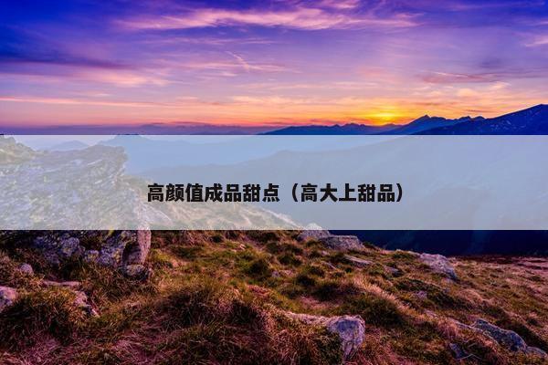 高颜值成品甜点（高大上甜品）