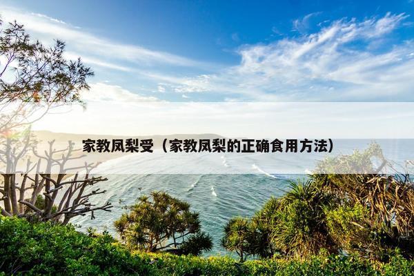 家教凤梨受（家教凤梨的正确食用方法）