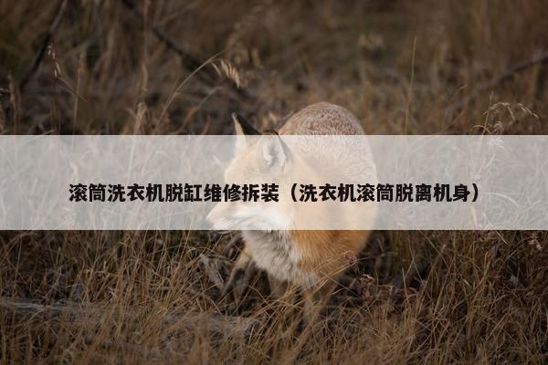 滚筒洗衣机脱缸维修拆装（洗衣机滚筒脱离机身）