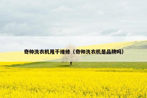 奇帅洗衣机甩干维修（奇帅洗衣机是品牌吗）