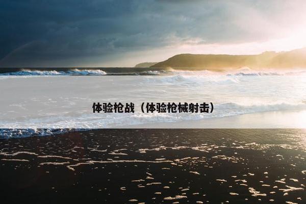 体验枪战（体验枪械射击）
