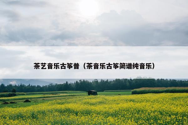茶艺音乐古筝普（茶音乐古筝简谱纯音乐）