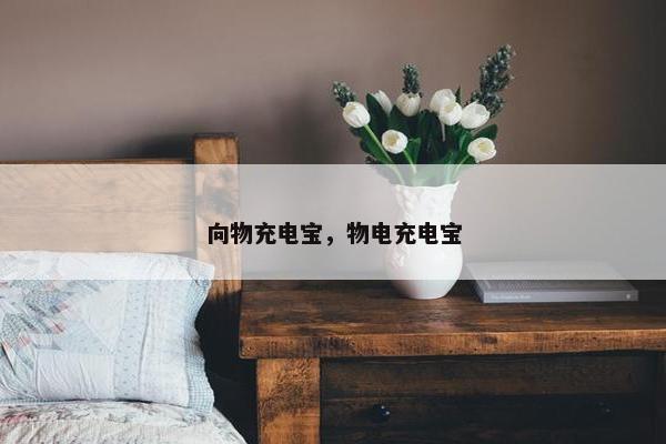 向物充电宝，物电充电宝